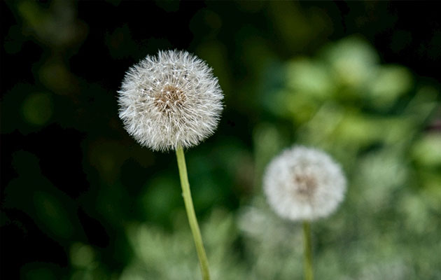 3133cc拉斯维加斯·(中国游)官方网站