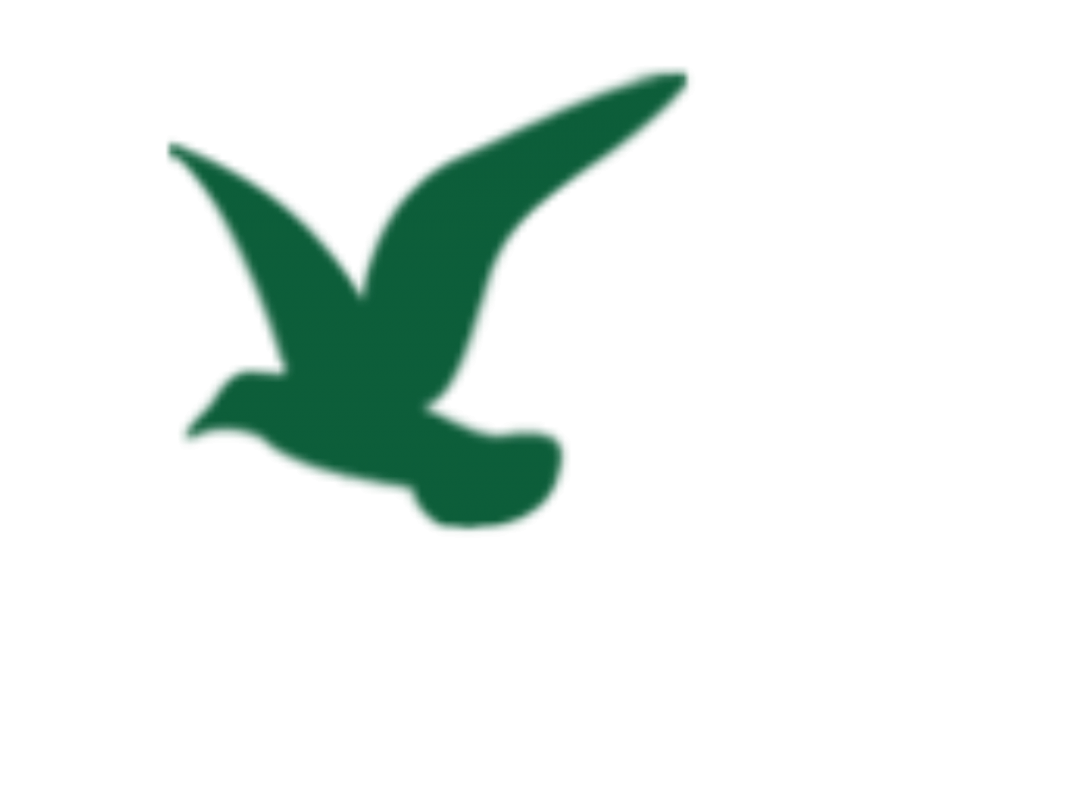 3133cc拉斯维加斯·(中国游)官方网站